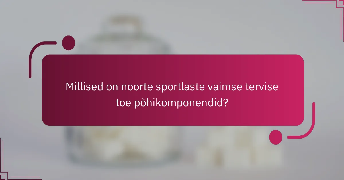 Millised on noorte sportlaste vaimse tervise toe põhikomponendid?