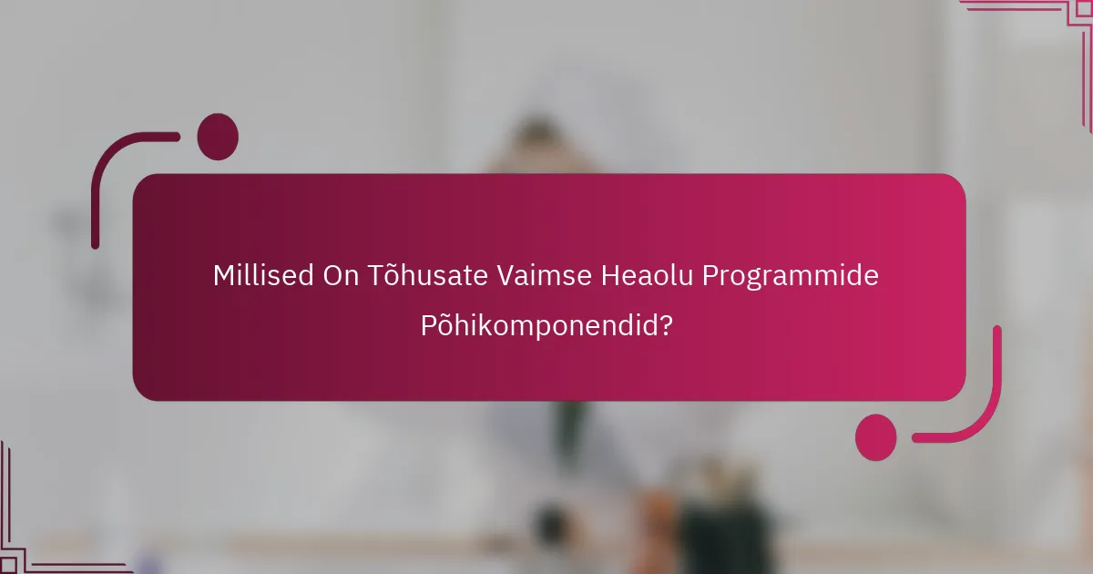 Millised On Tõhusate Vaimse Heaolu Programmide Põhikomponendid?